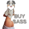 SASS BUY SASS