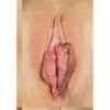 Tipos de vaginas 9