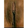 Tipos de vaginas 13