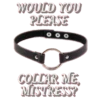 WOULD YOU PLEASE COLLAR ME MISTRESS?