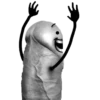 Penis 16