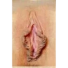 Tipos de vaginas 14