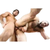Gay porn 14