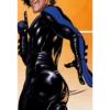 Nightwing ass 10