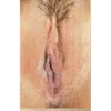 Tipos de vaginas 20