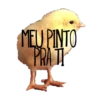 MEU PINTO PRAT