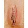 Tipos de vaginas 24