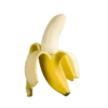 Penis 20