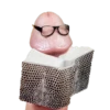 Penis 21