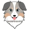 CASSFINANCE