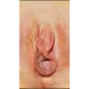 Tipos de vaginas 28