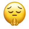 Xxxemojis 11
