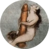 Erotica 8