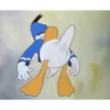 Penis 7