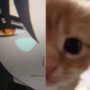Yaoi save me yaoi 27