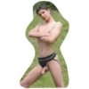 Gay 29
