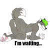 Seth NSFW 17