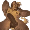 Male penis 17