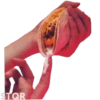 TQR