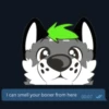 Seth NSFW 27