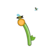 Condom 5