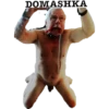 DOMASHKA 1