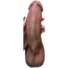 Big dicks 7
