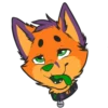 Fluffy Foxy NSFW 12