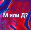 М или Д?