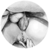Erotic 29