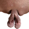 World of Vaginas pack 1 11
