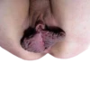 World of Vaginas pack 1 12