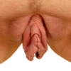 World of Vaginas pack 1 13