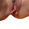 World of Vaginas pack 1 14