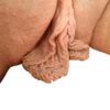 World of Vaginas pack 1 16