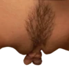 World of Vaginas pack 1 19