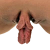 World of Vaginas pack 1 20