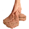 World of Vaginas pack 1 25