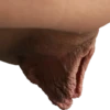 World of Vaginas pack 1 28