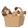 HotWolf (@StickoBot) 10