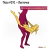 Sexima 14