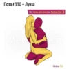 Sexima 26