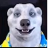 @gradient 00 dxmmsstet
