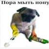 Пора мыть попу