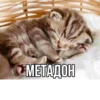 МЕТАДОН