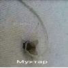 Мухтар