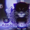 какаем стОЯ