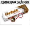 ЛЮБИМАЯ ЖВАЧКА ХАЧЕЙ И ЧУРОК Orbit BES CANAPA СО ВКУСОМ ГОВНА