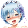 Hentai | 14