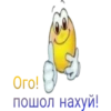 Ord nation Maxill